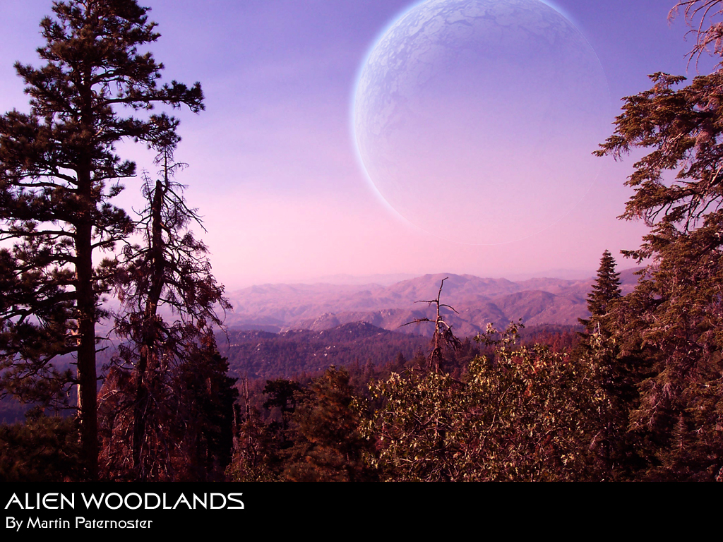 Alien_Woodlands.jpg